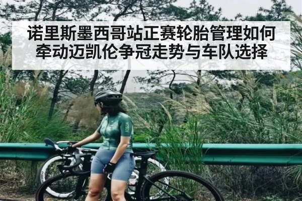 诺里斯墨西哥站正赛轮胎管理如何牵动迈凯伦争冠走势与车队选择